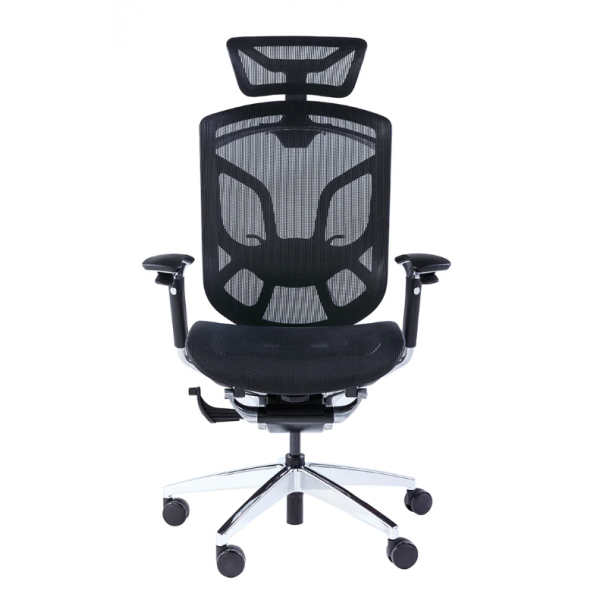 GTChair Dvary-X-BK 人體工學辦公椅 (黑色)